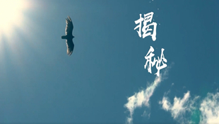微信截图_20250424091524.jpg